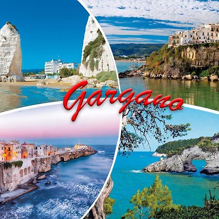 Adelmari Casa Vacanze Manfredonia Ngoại thất bức ảnh